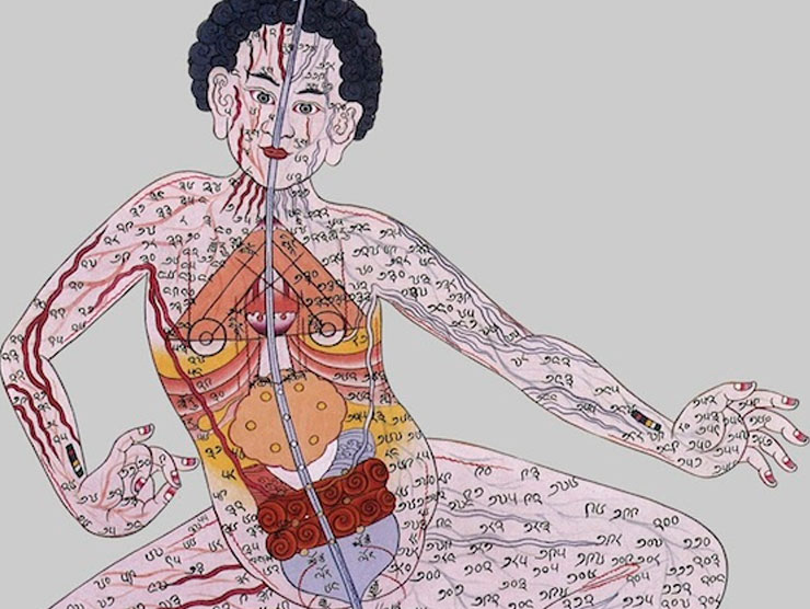 Meridyen Terapistliği